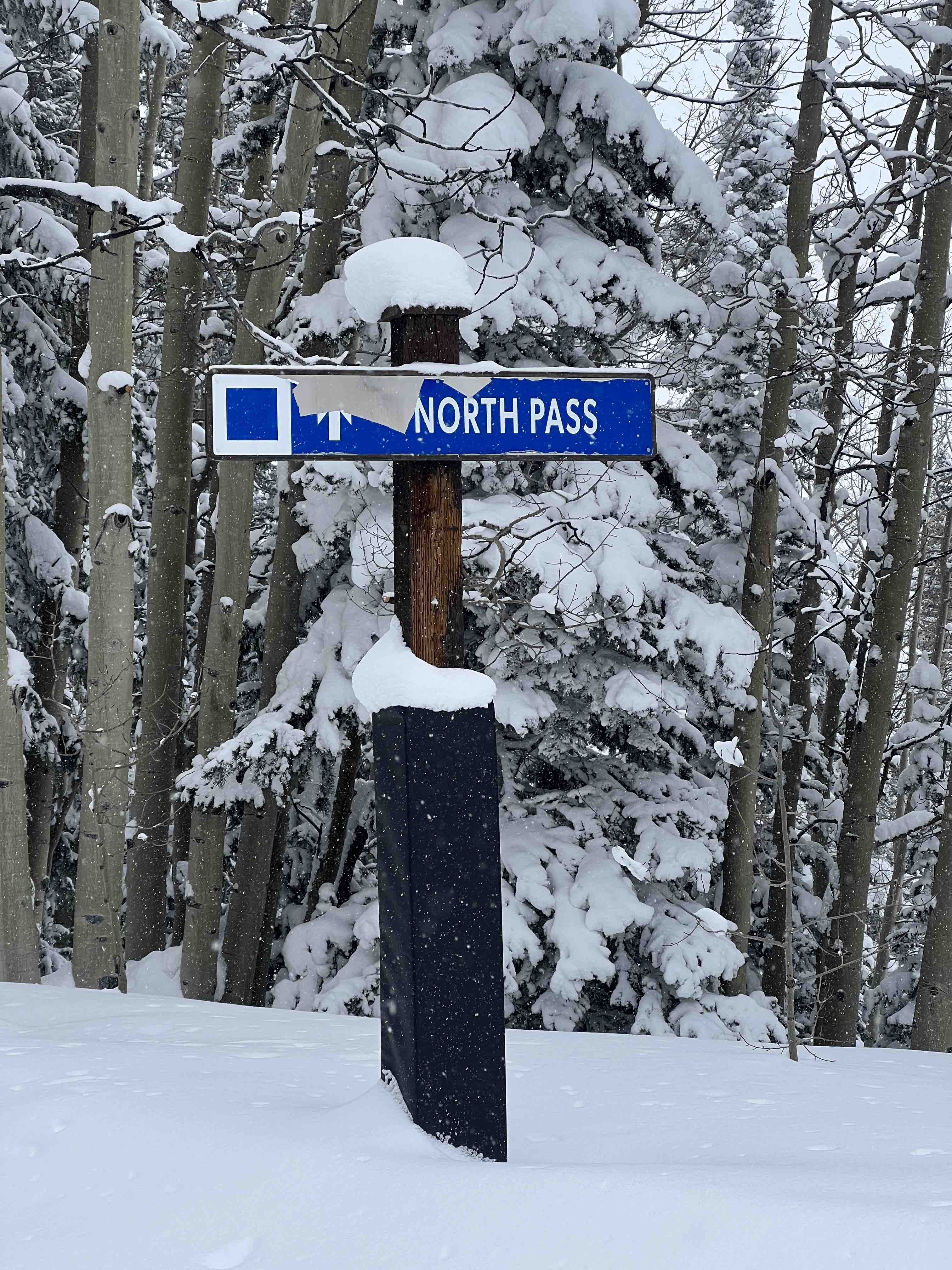 Image of North Pass Trail in Crested Butte Colorado